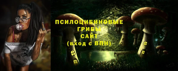прущая мука Белокуриха