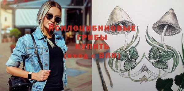 прущая мука Белокуриха