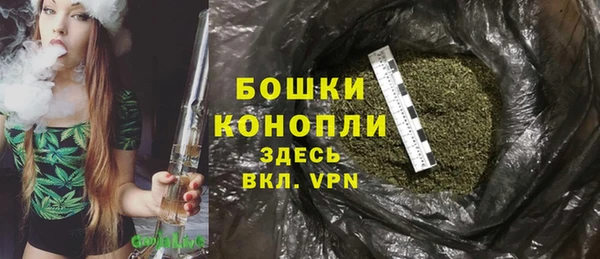 PSILOCYBIN Беломорск