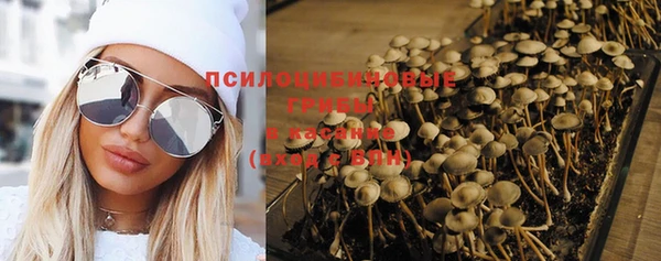 PSILOCYBIN Беломорск