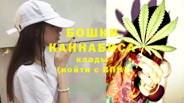 PSILOCYBIN Беломорск