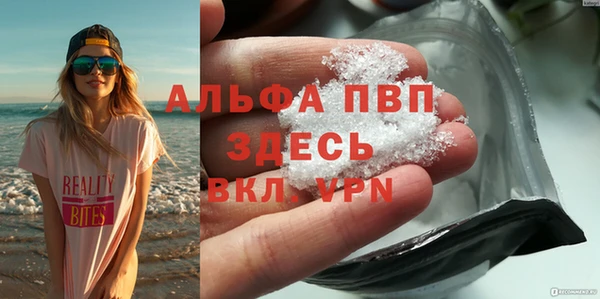 PSILOCYBIN Беломорск