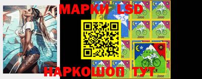 spice Ижевск