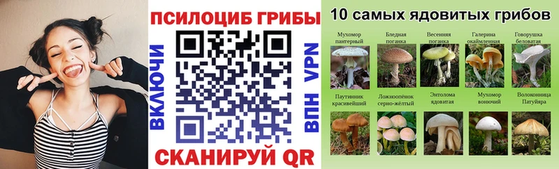 Галлюциногенные грибы мицелий  купить закладку  Дагестанские Огни 