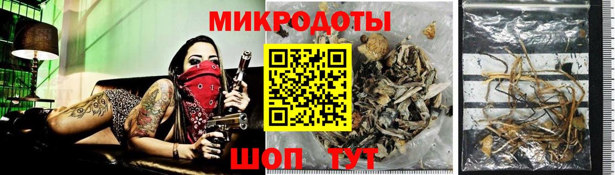 Галлюциногенные грибы Psilocybine cubensis Дагестанские Огни